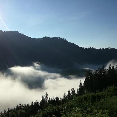 Biohof Sattler 홈스테이 Etmissl