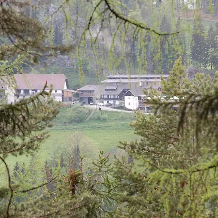 Biohof Sattler 홈스테이 Etmissl