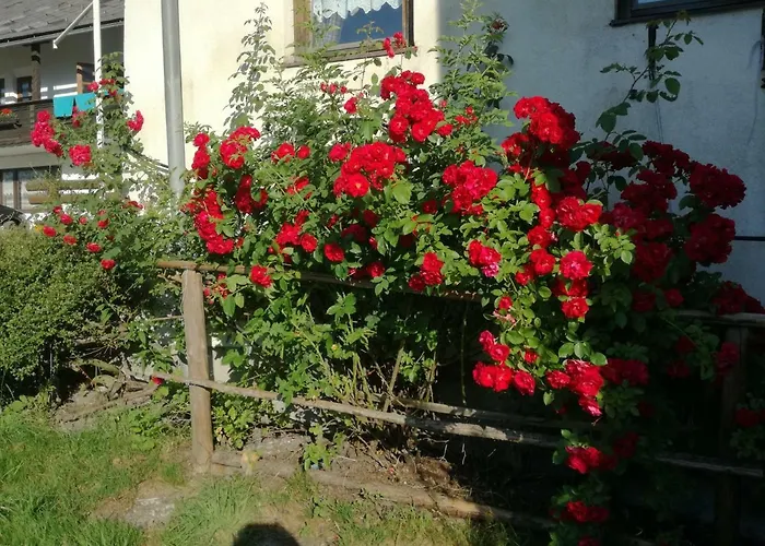 Biohof Sattler Etmissl